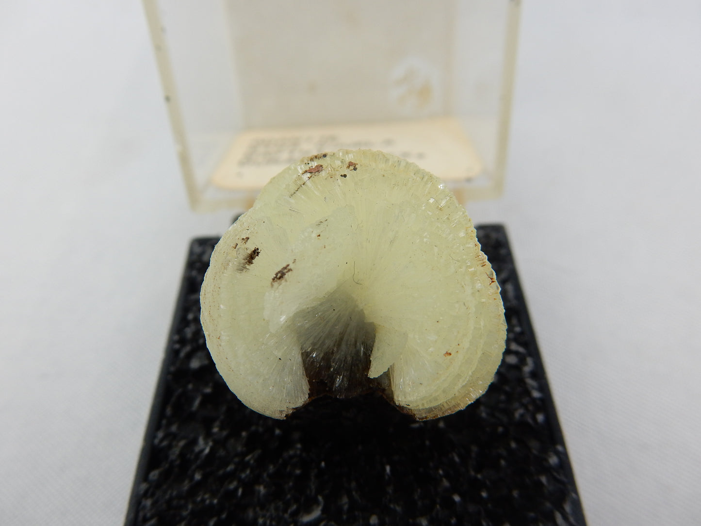Adamite