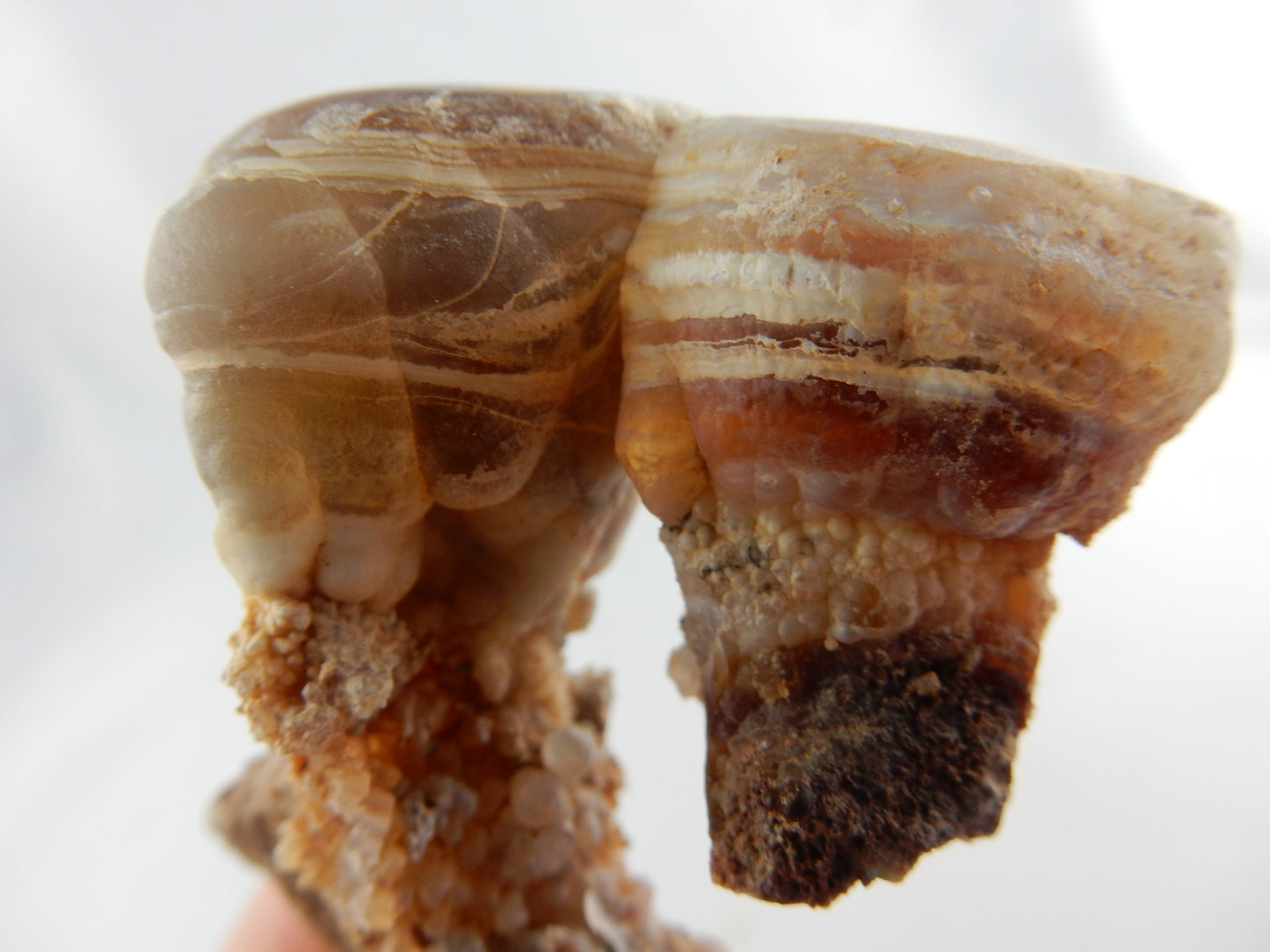 Agate Carnelian New Zealand