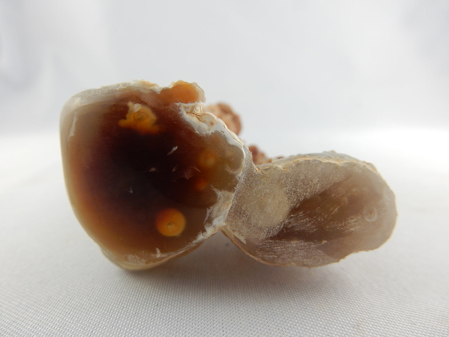 Agate Carnelian New Zealand
