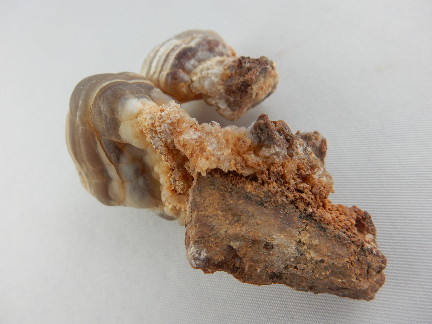 Agate Carnelian New Zealand