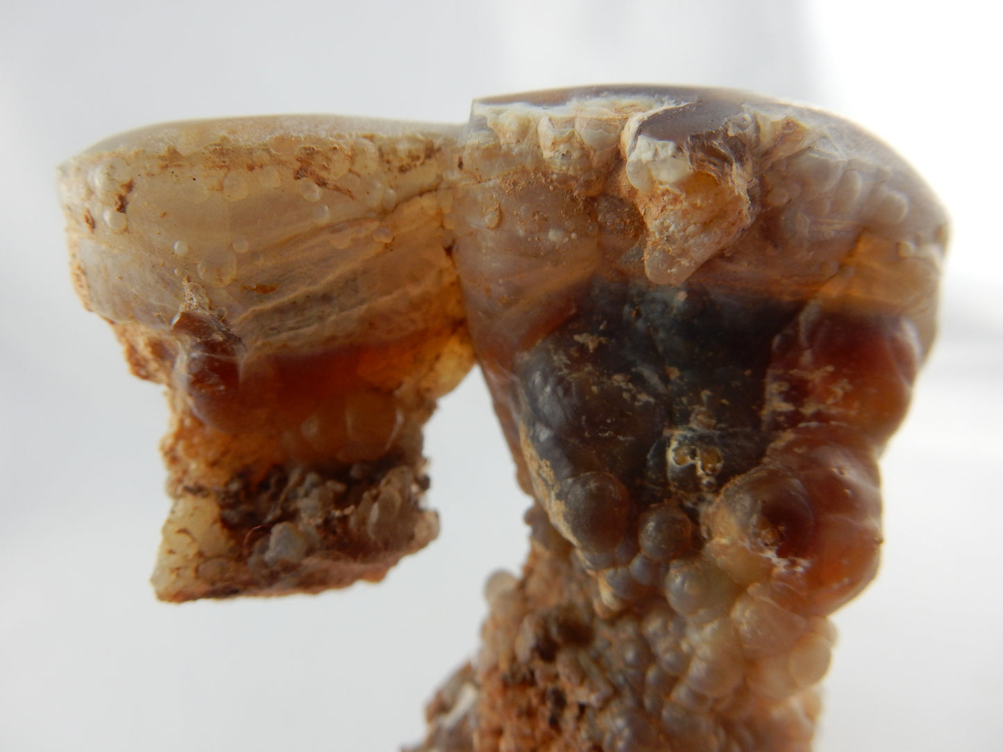 Agate Carnelian New Zealand