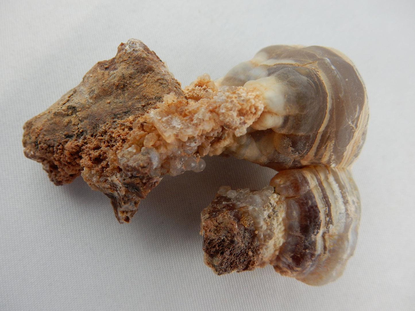 Agate Carnelian New Zealand