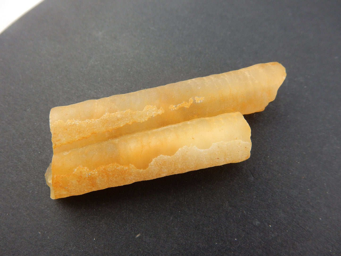 Twin stems of "bamboo agate"- chalcedony casts of wetwater stems/roots