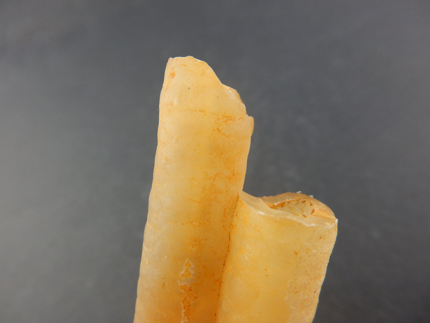 Agate "Bamboo" Form