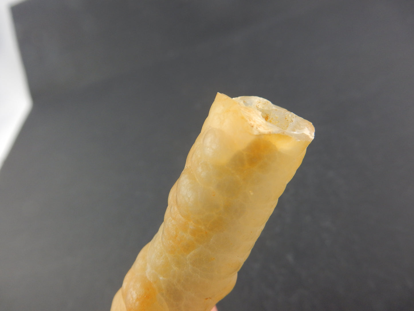 Agate "Bamboo" Form