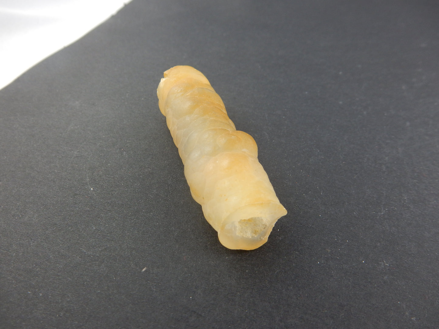 Agate "Bamboo" Form