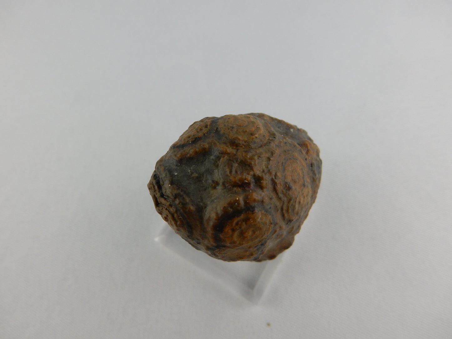 Gobi Agate - Face