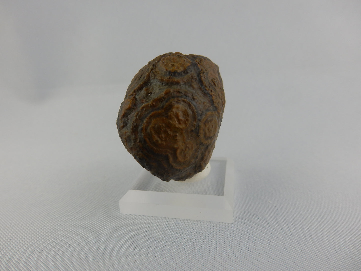 Gobi Agate - Face