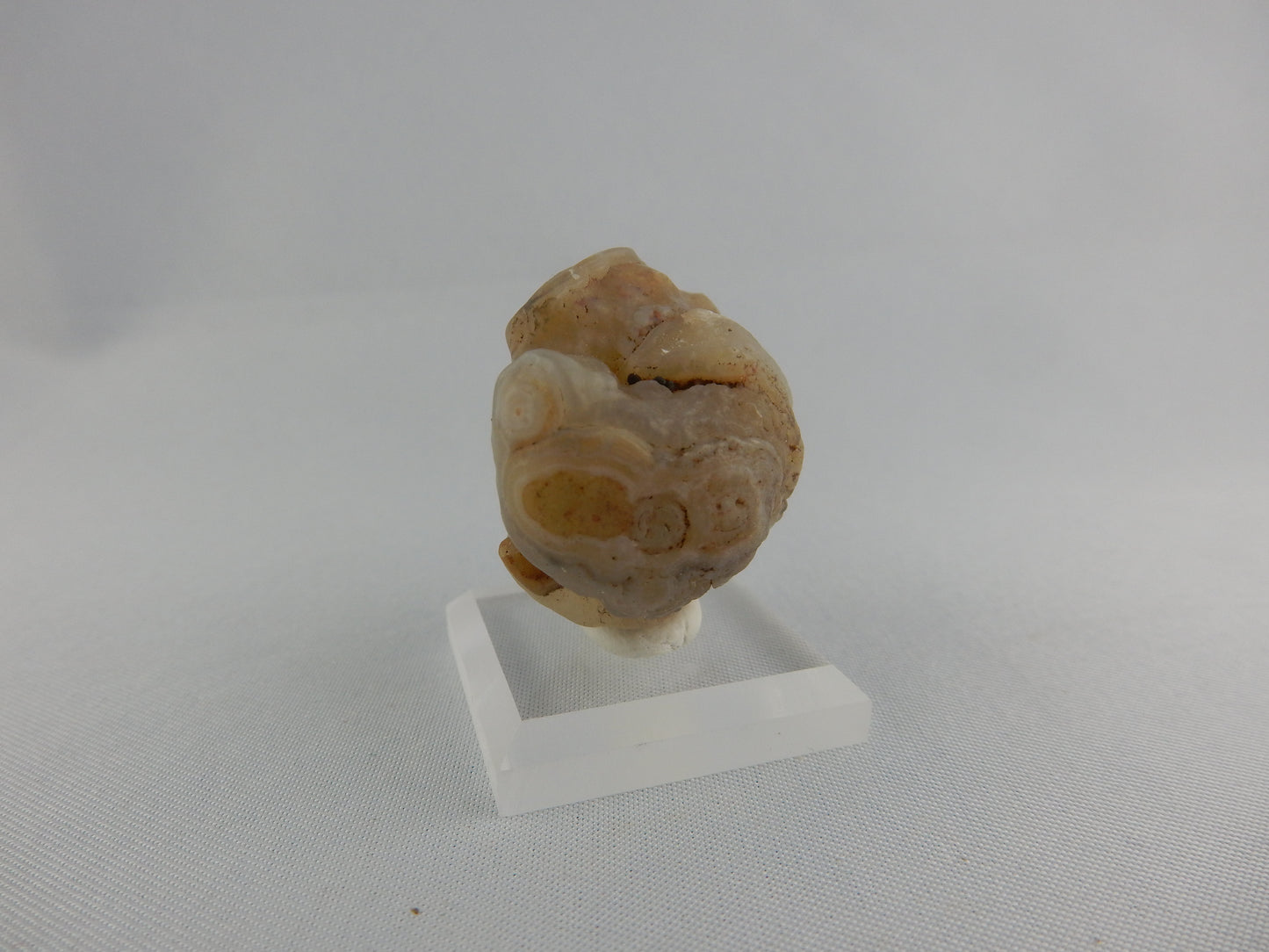 Gobi Agate - Face