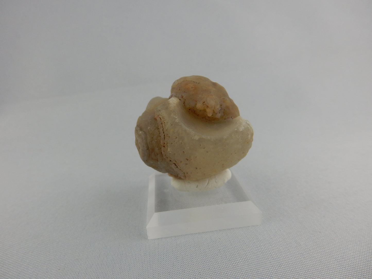 Gobi Agate - Face