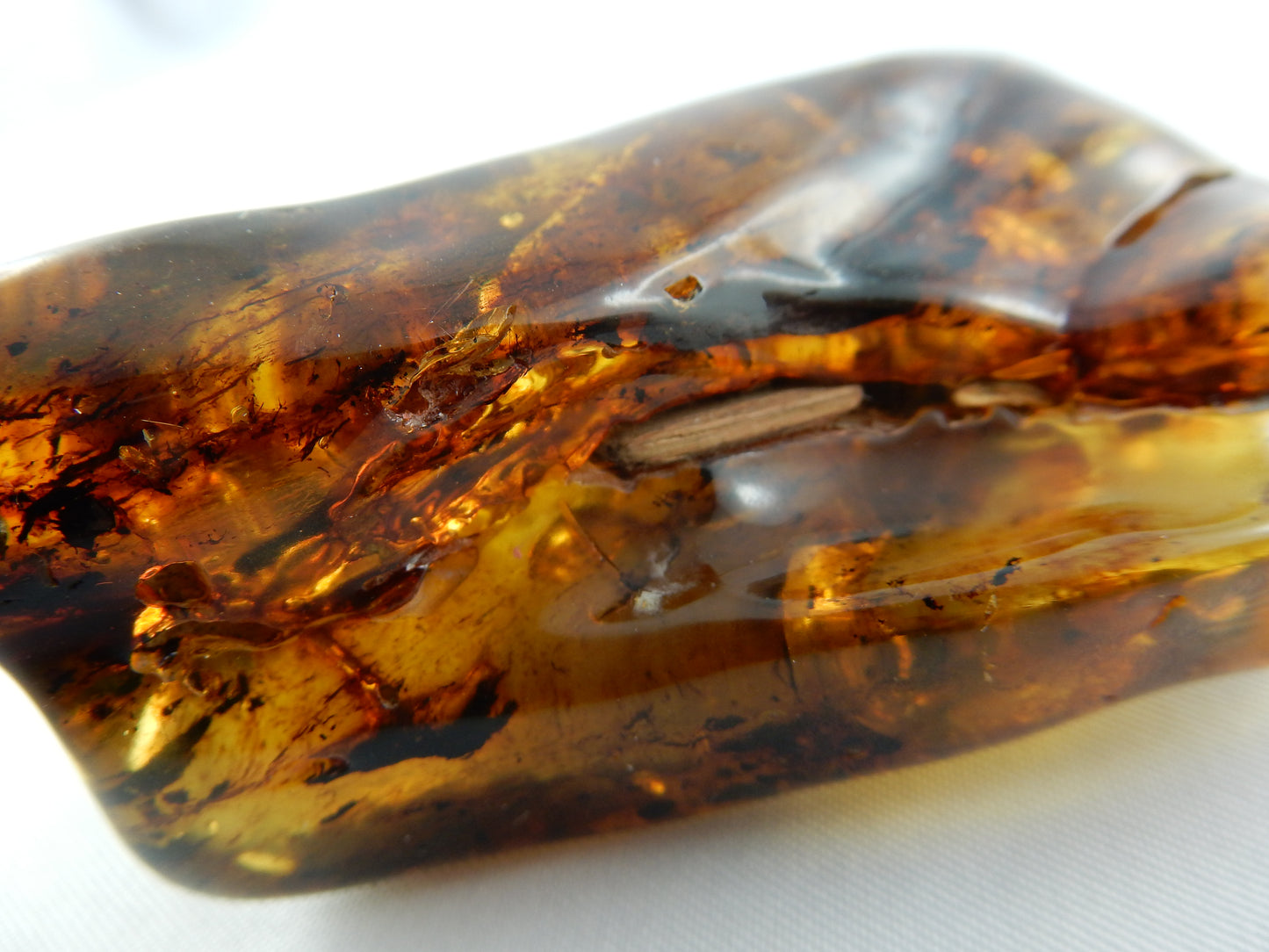 Amber - gold Inclusions