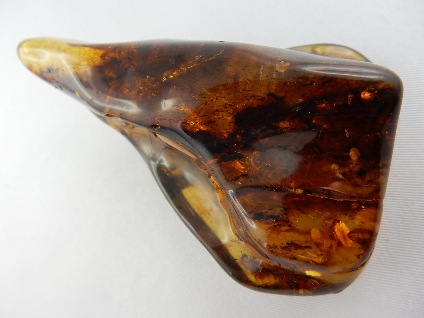 Amber - gold Inclusions