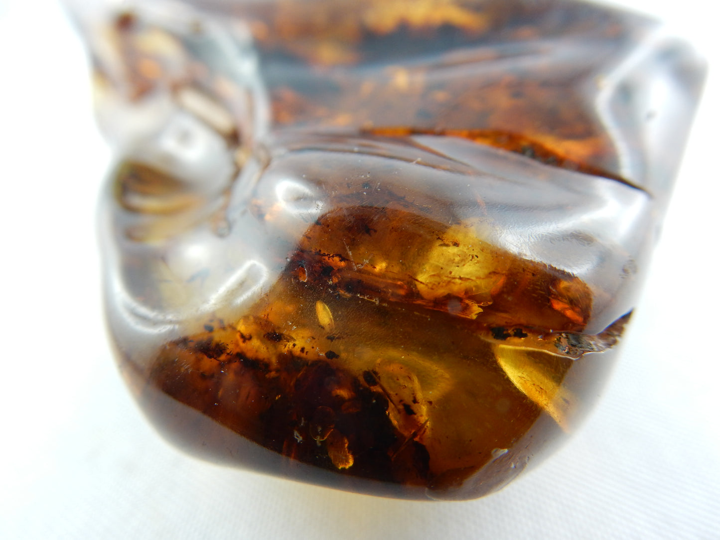 Amber - gold Inclusions