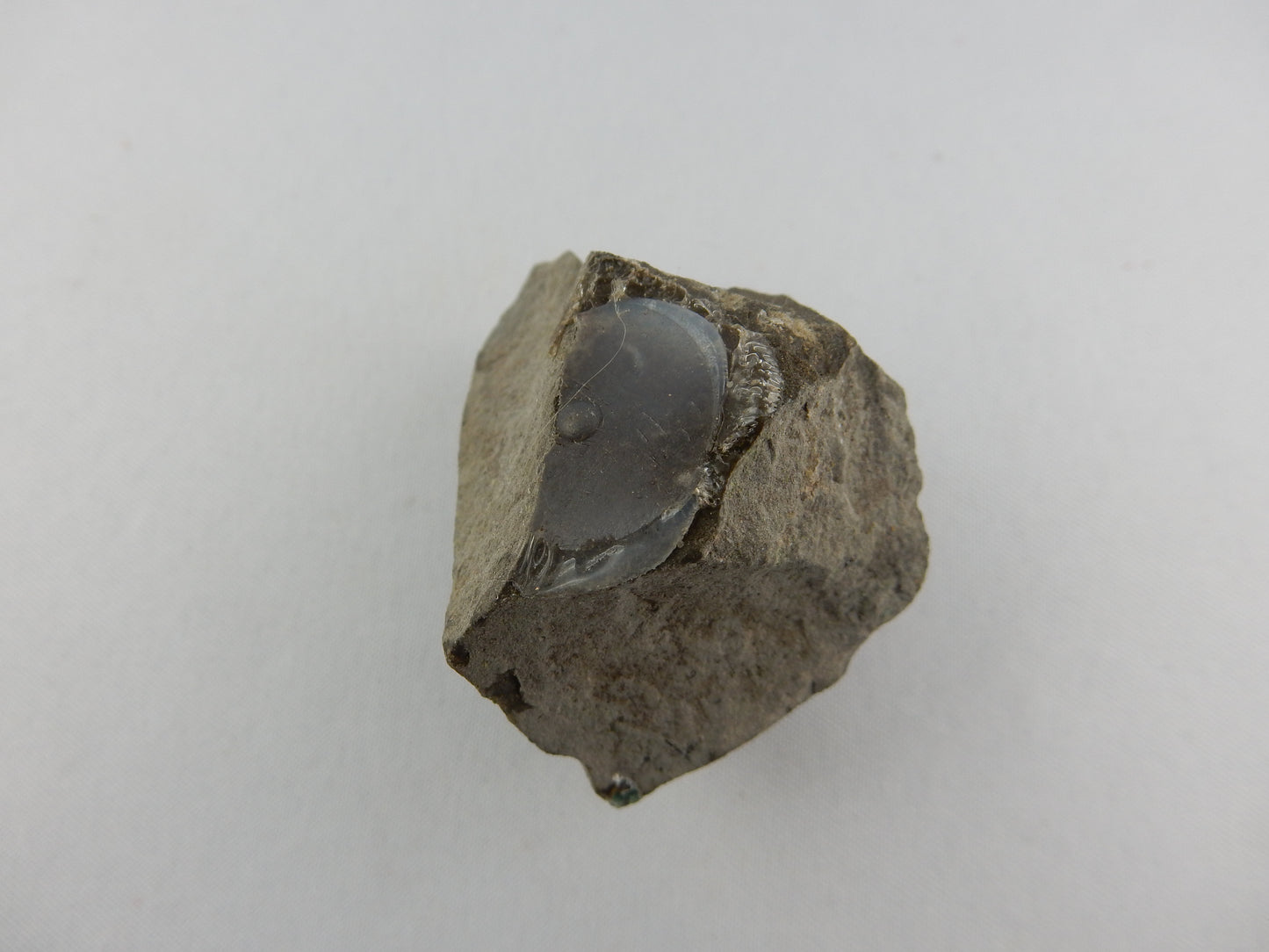 Amethyst Cluster
