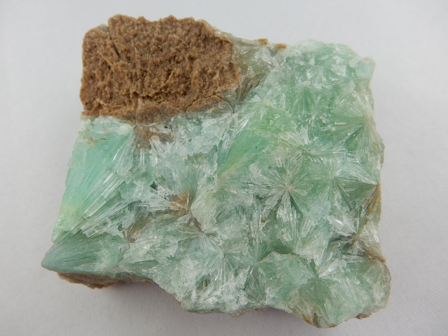 multiple radiating Green Sprays - gemmy round sparkles of aragonite on matrix of calcite