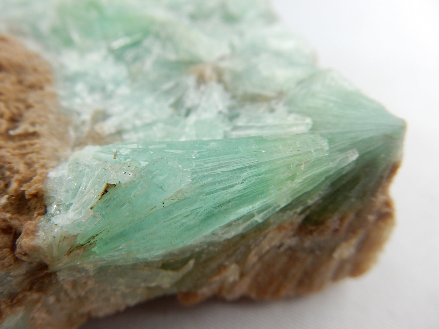 Aragonite - Green Spray