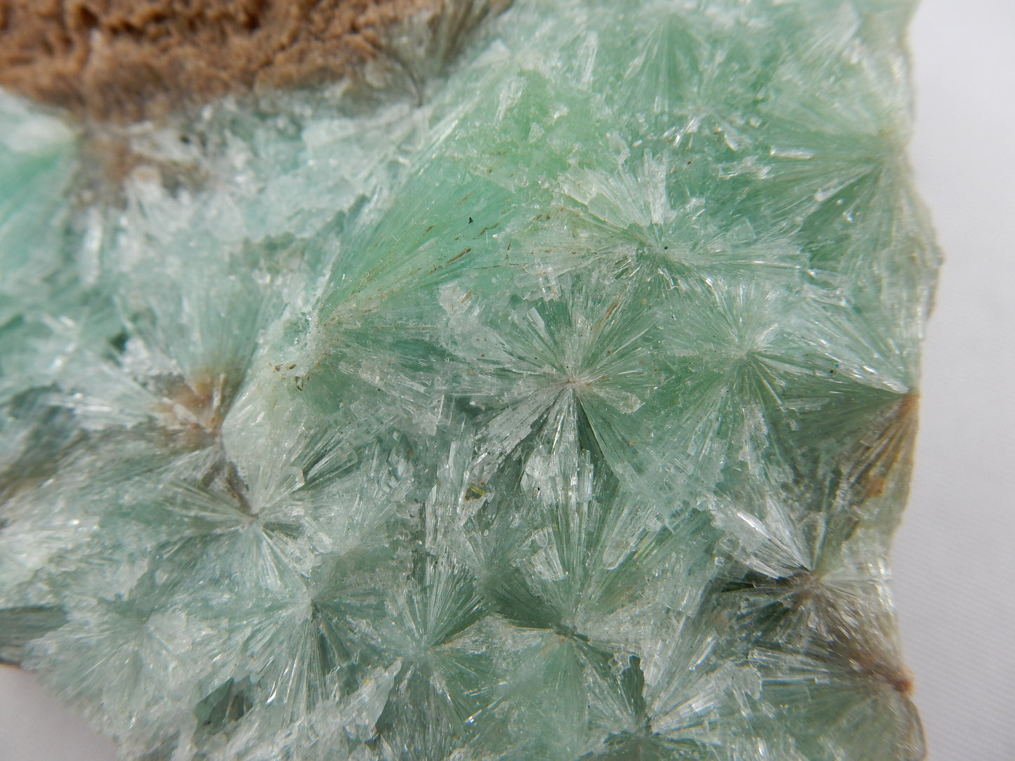 Aragonite - Green Spray
