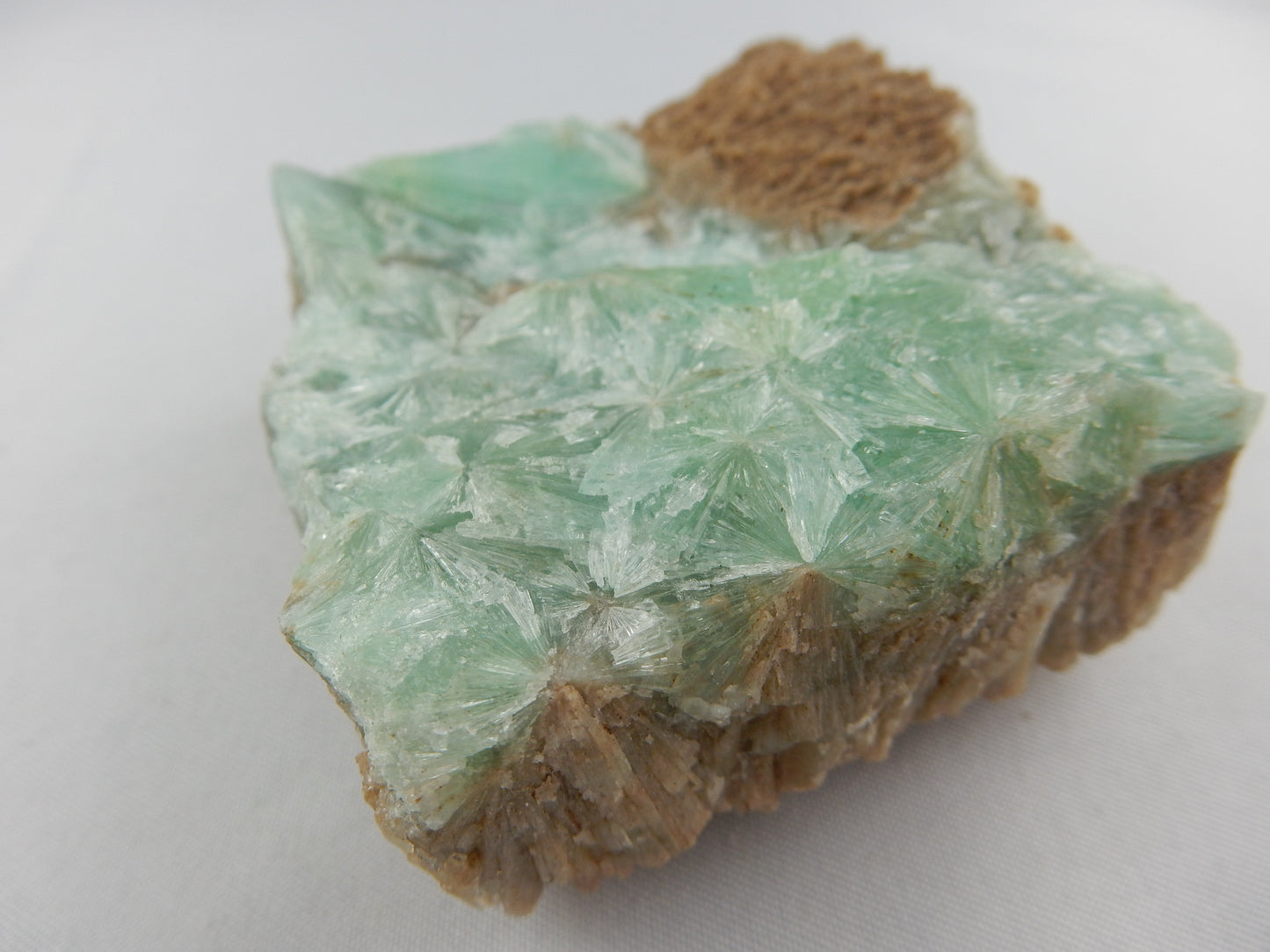 Aragonite - Green Spray