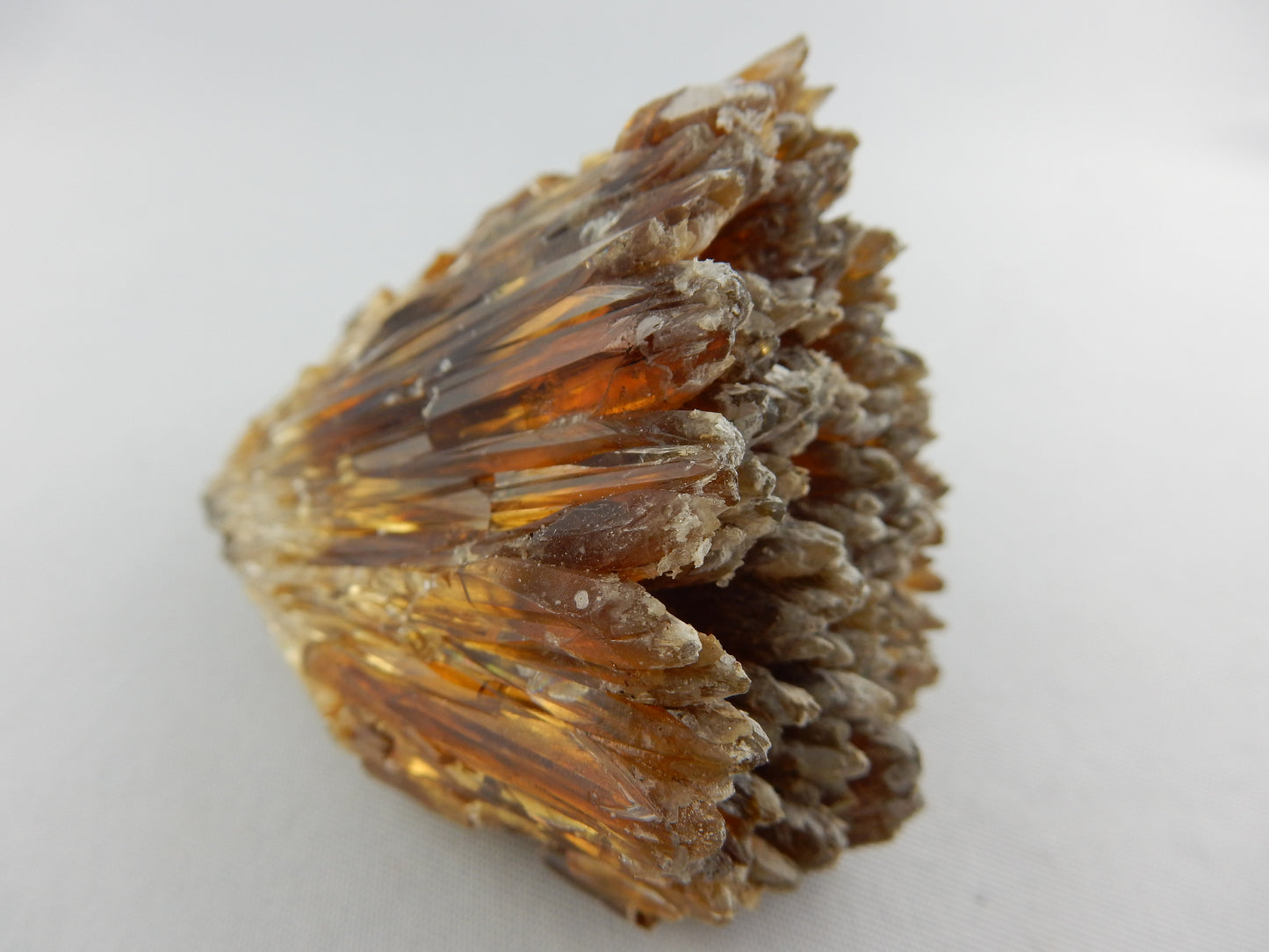 Calcite "Sprays"