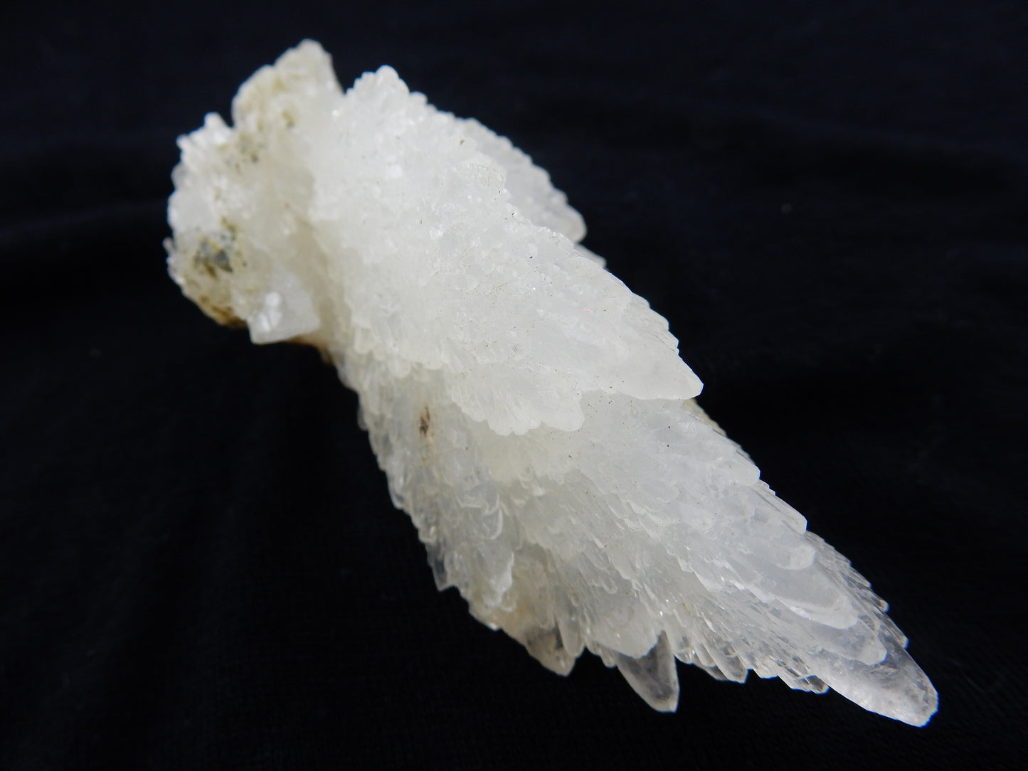 Calcite "Angel Wings"
