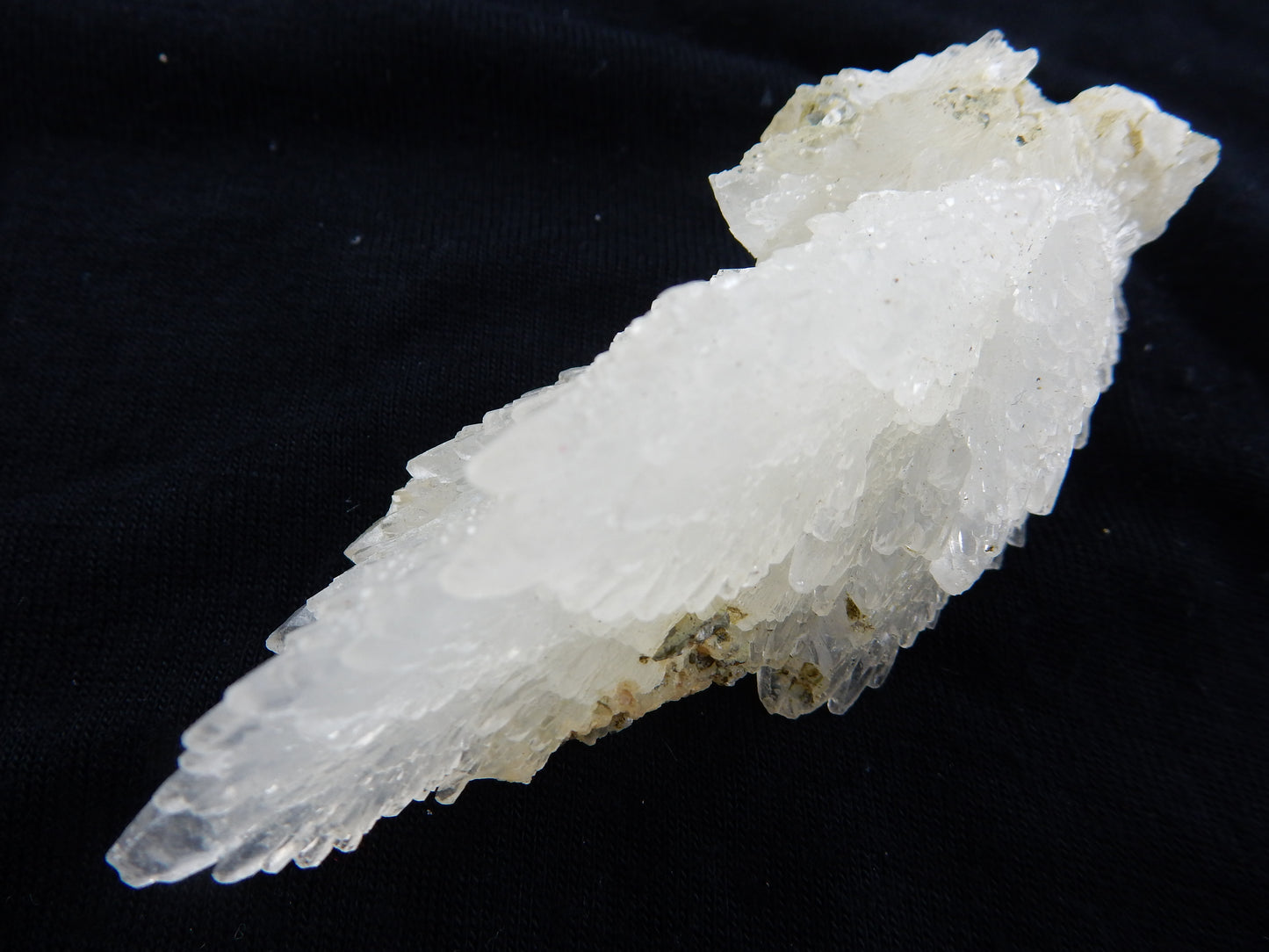 Calcite "Angel Wings"