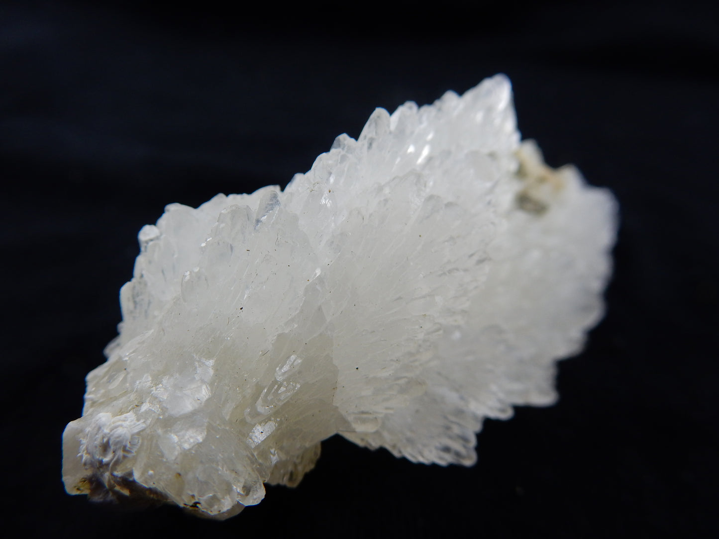 Calcite "Angel Wings"