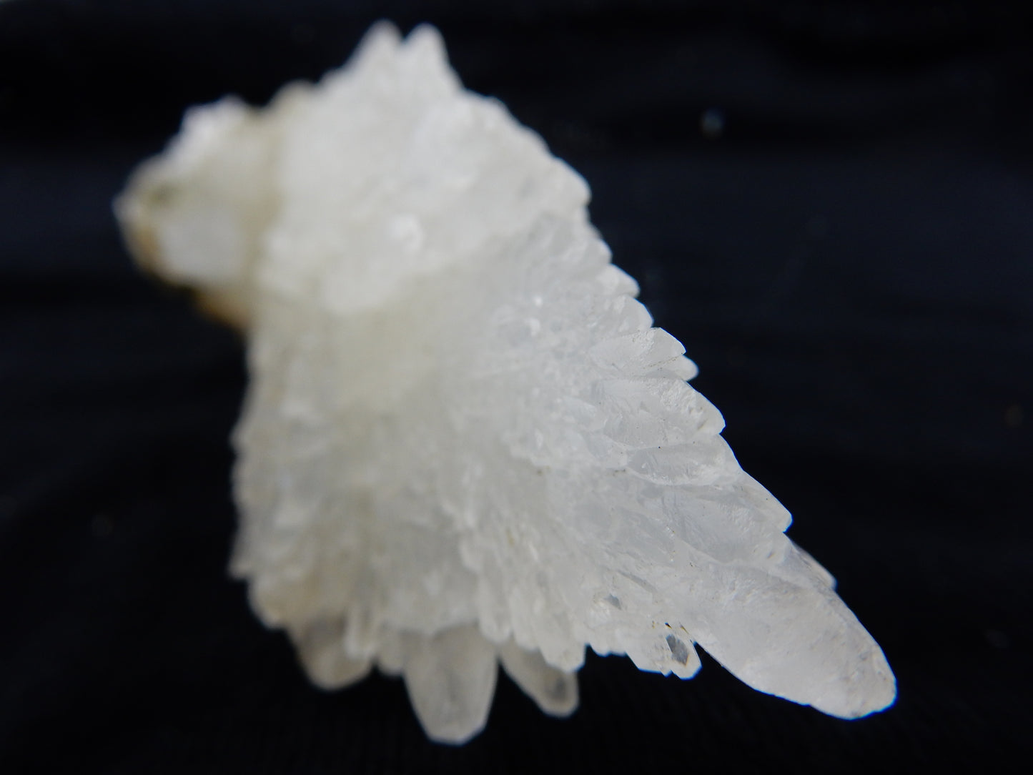 Calcite "Angel Wings"