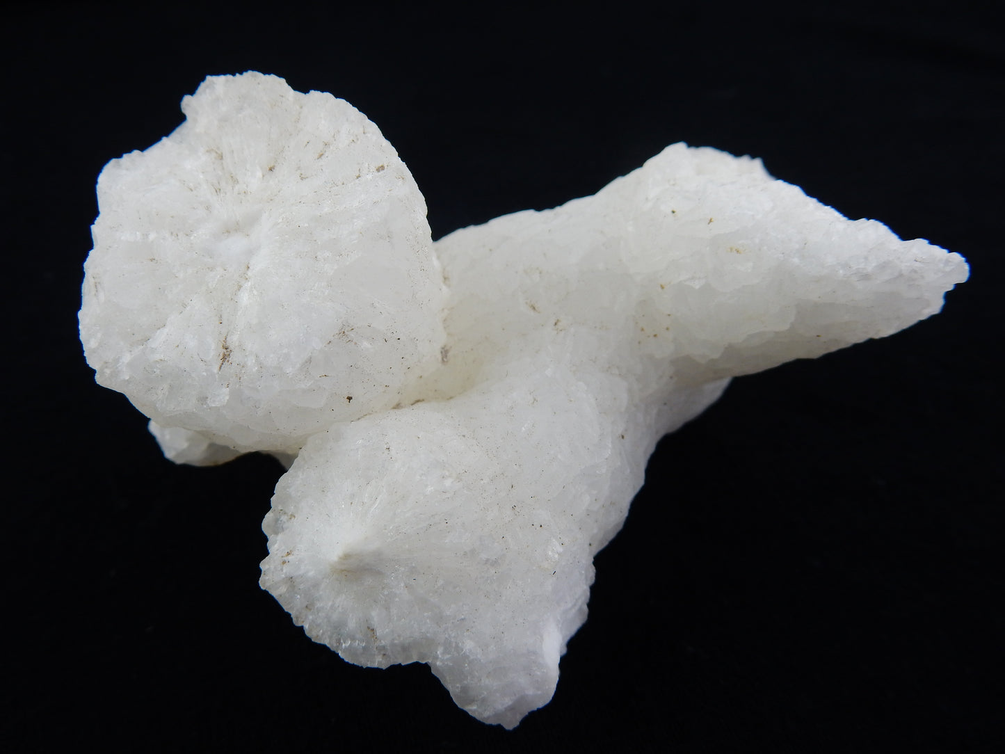 Calcite - interesting Wind-curved sparkly "Helecite" from mine tunnels in Utah