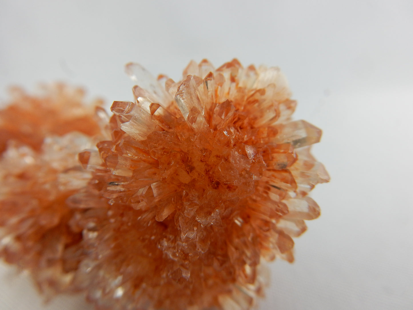Creedite