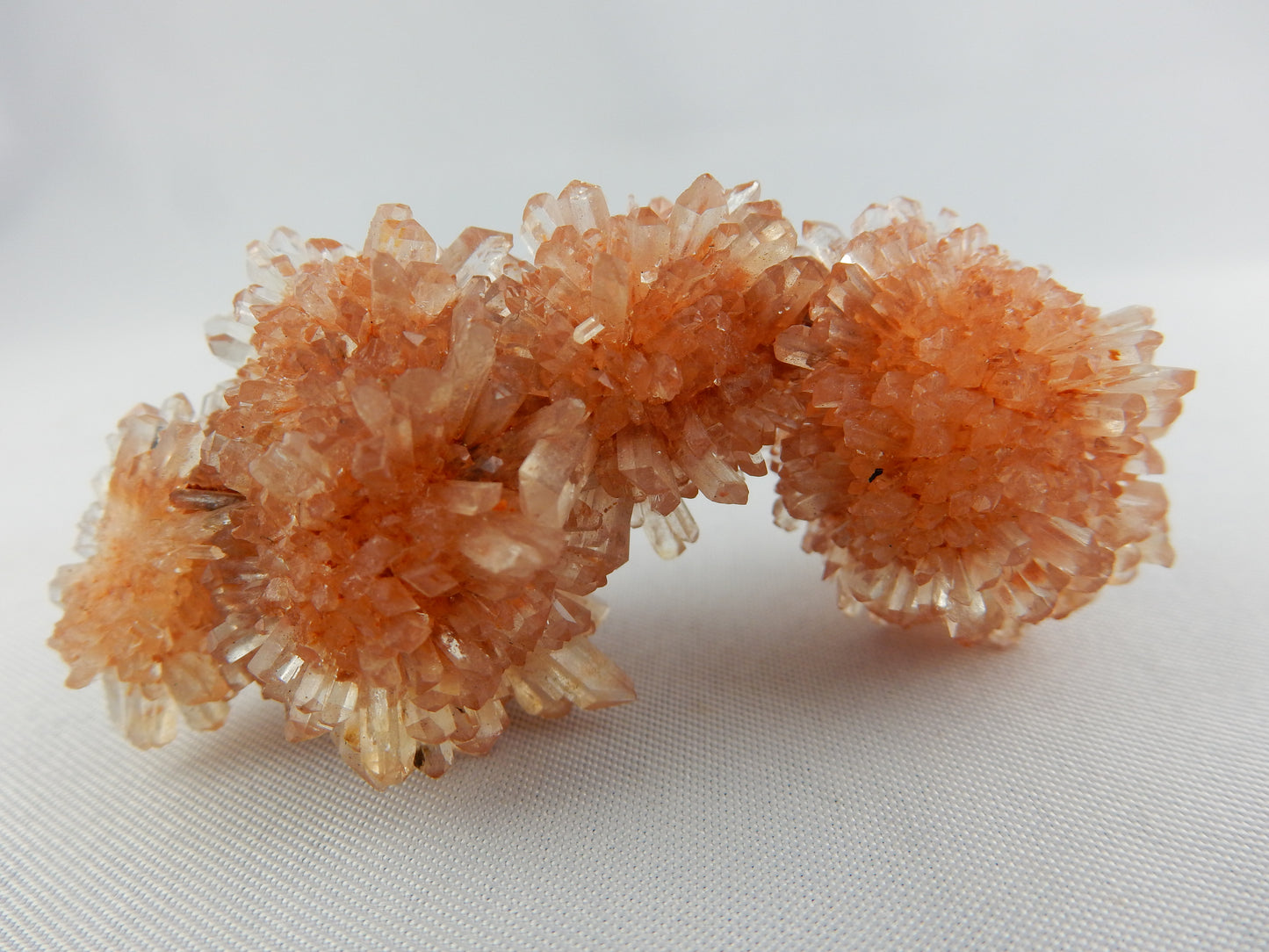 Creedite