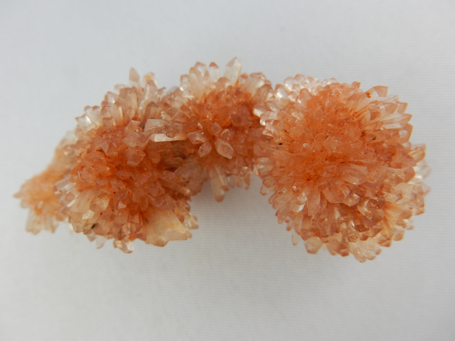 Creedite