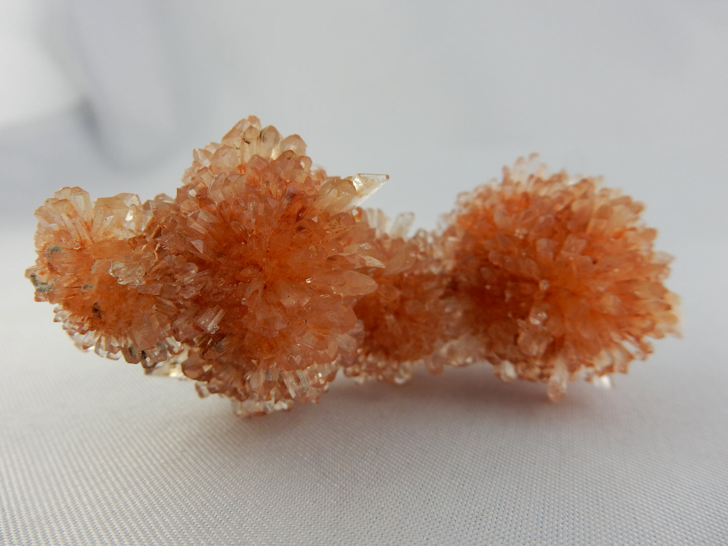 Creedite