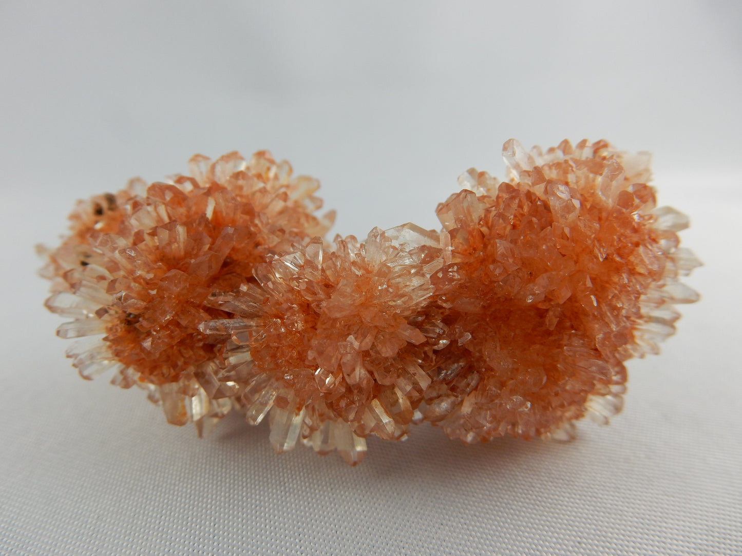 Creedite