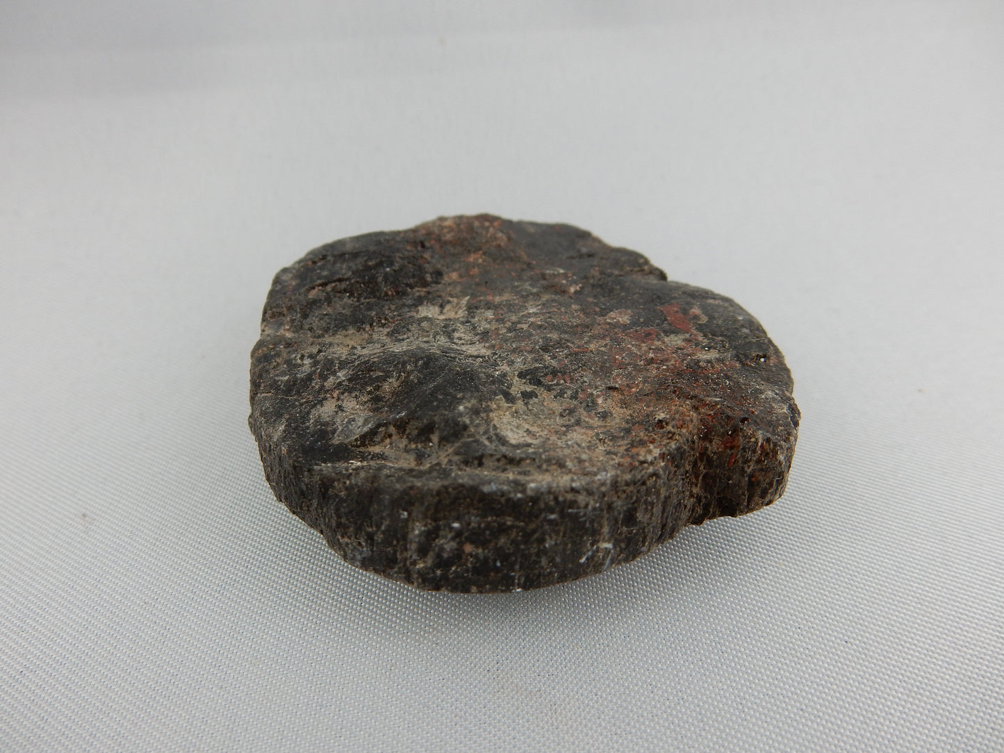 Dinosaur Bone Slab polished