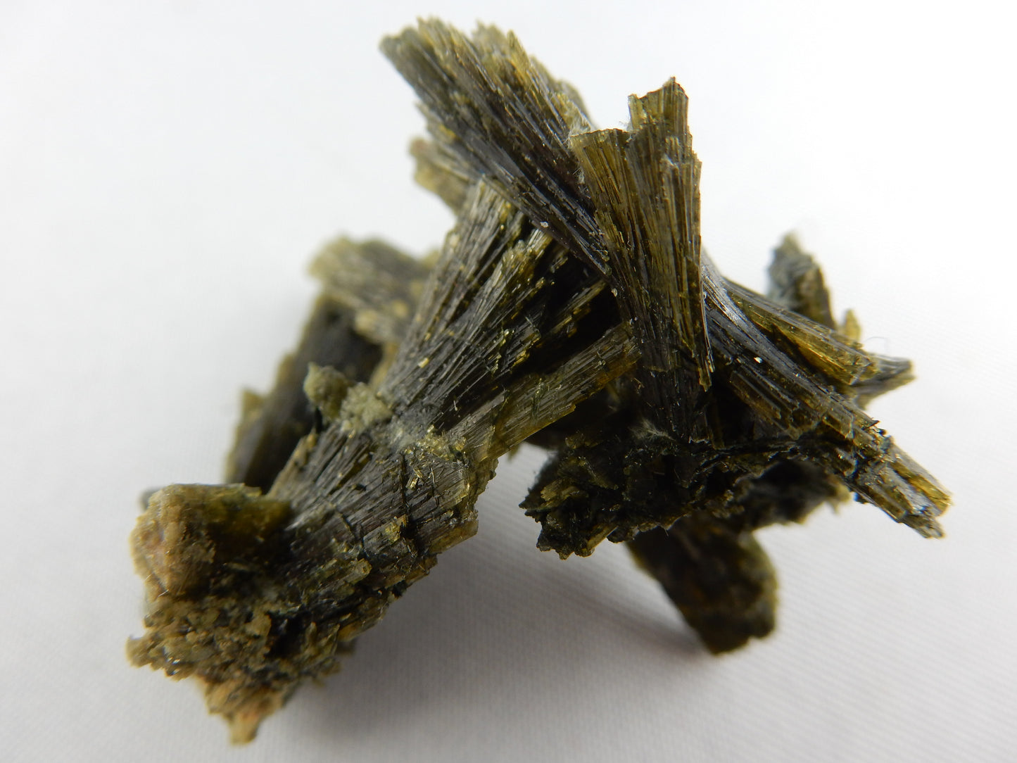 unique spray-shape of dark green gemmy Epidote
