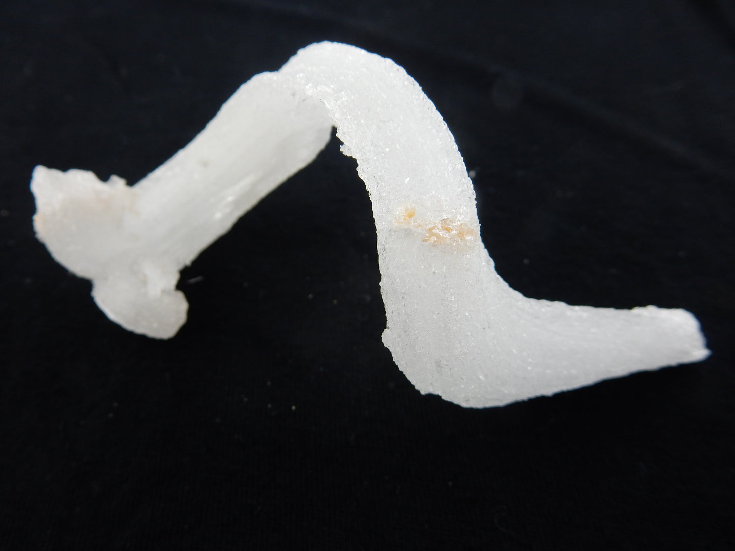 Gypsum Cave Caterpillar