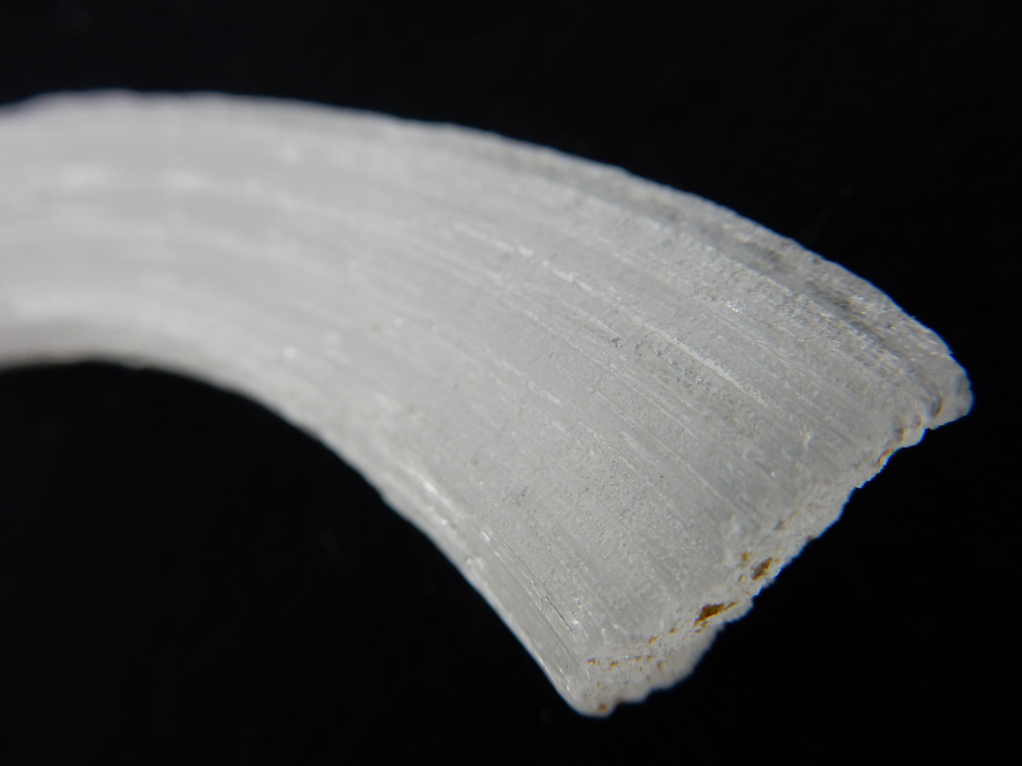 Gypsum Cave Caterpillar