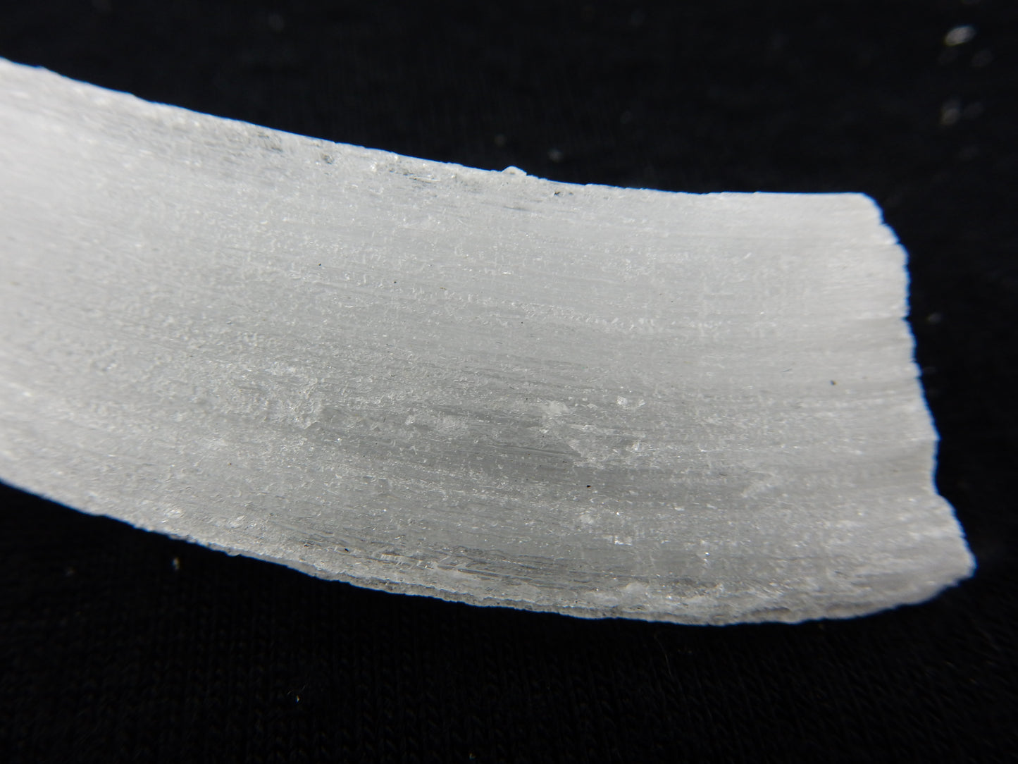 Gypsum Cave Caterpillar