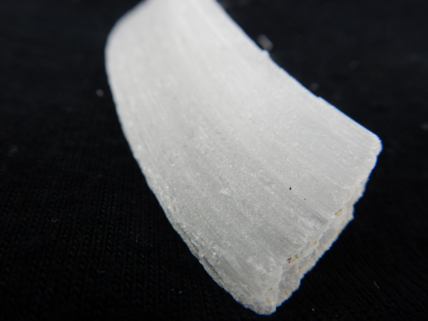 Gypsum Cave Caterpillar