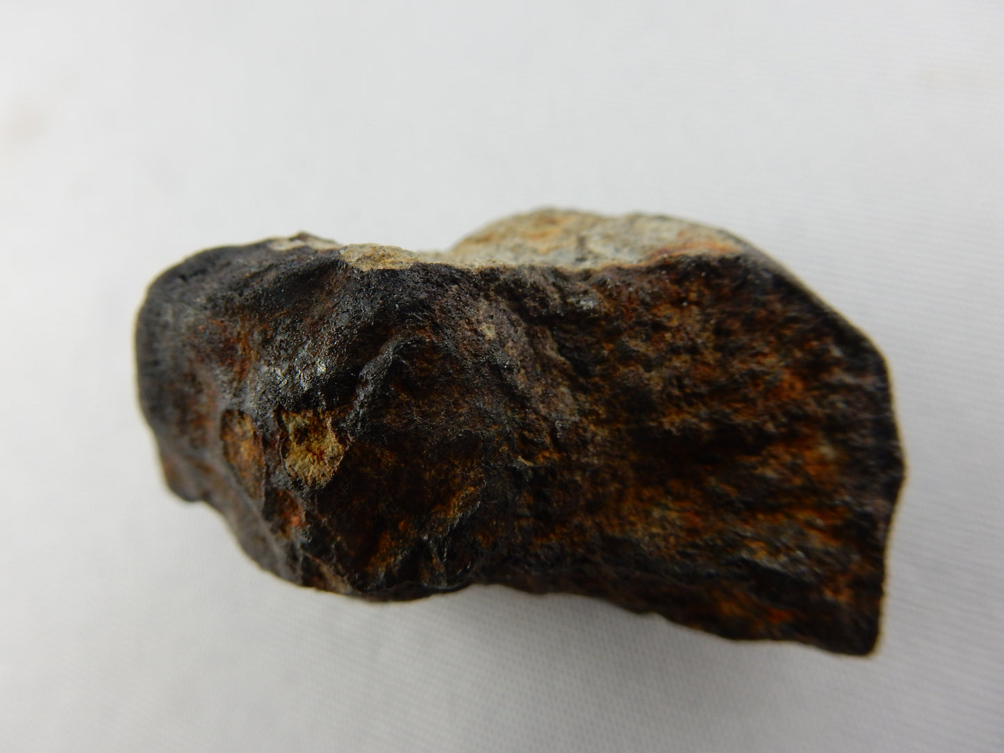 Meteorite North West Africa 869, Morocco