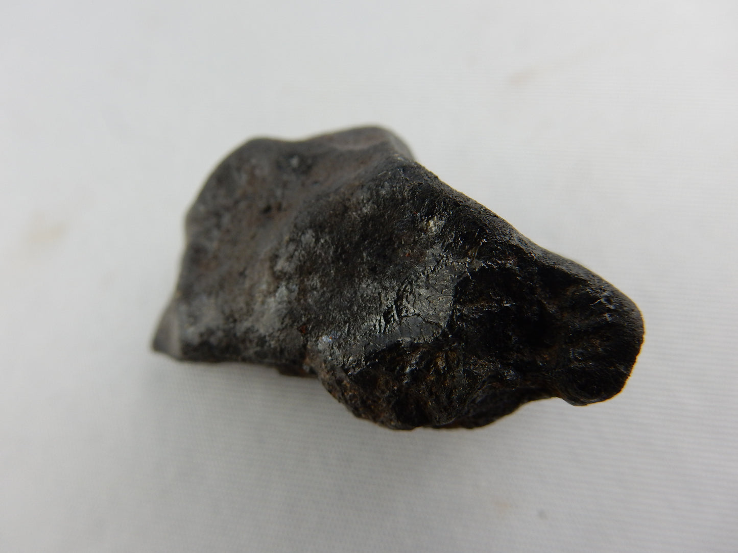 Meteorite North West Africa 869, Morocco