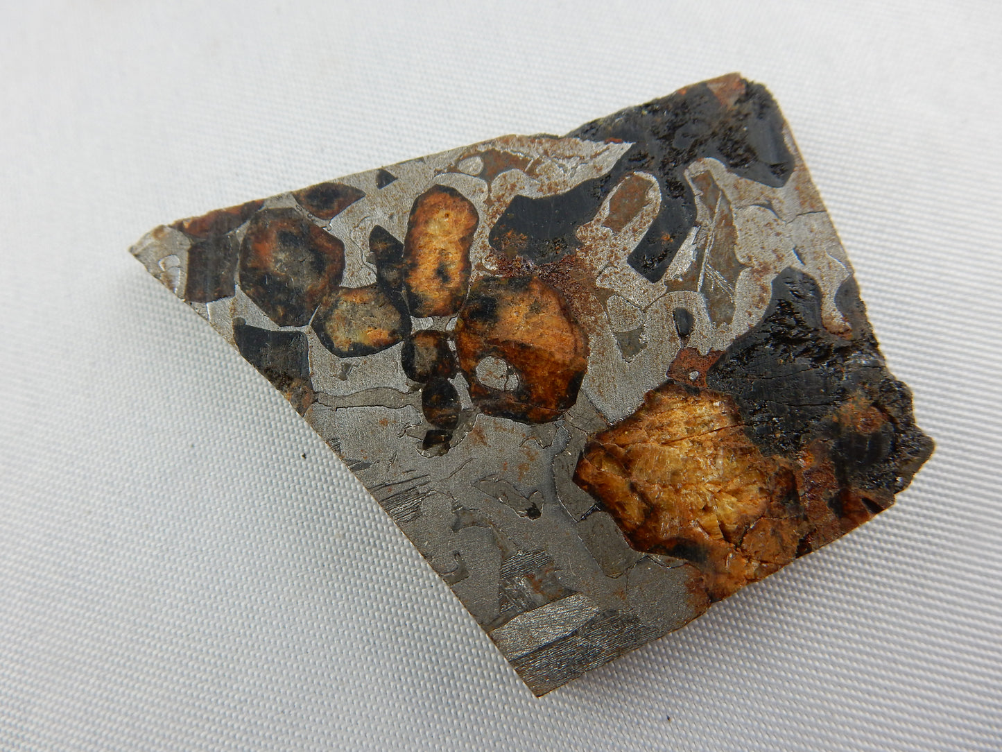 Meteorite Sericho Pallasite, Kenya