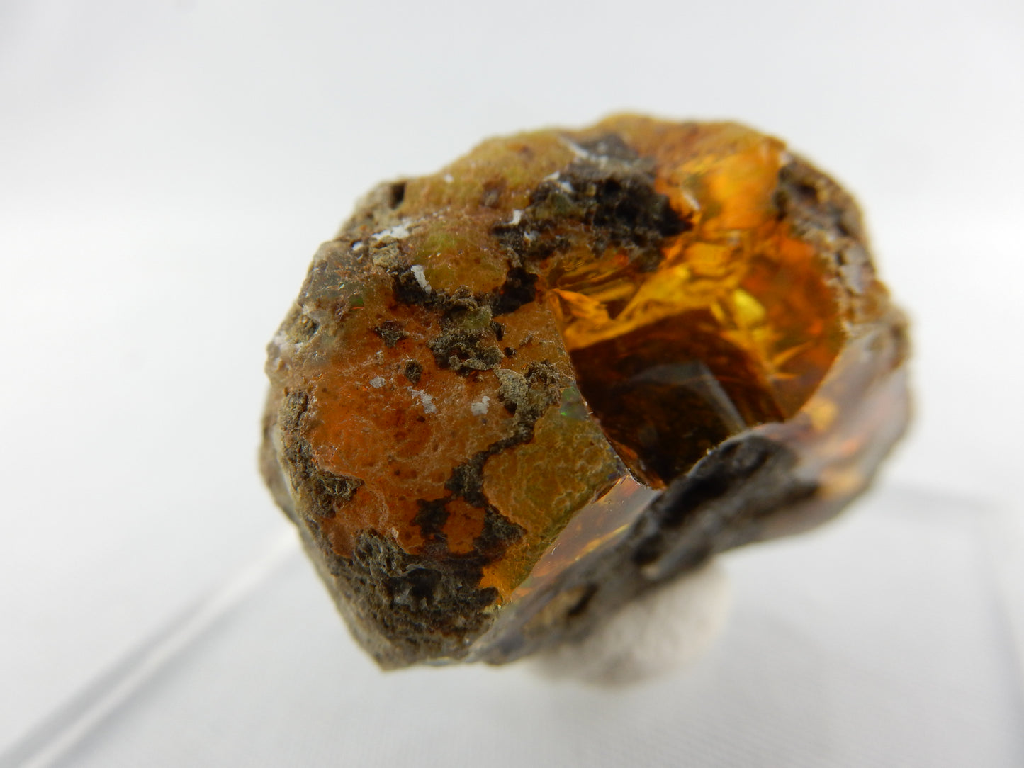Fire Opal Mexico