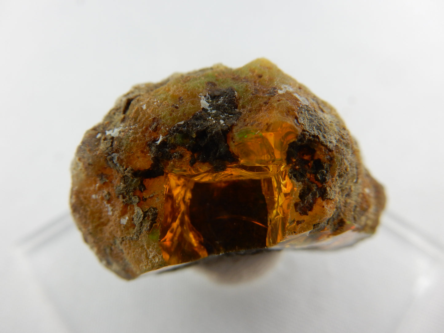 Fire Opal Mexico