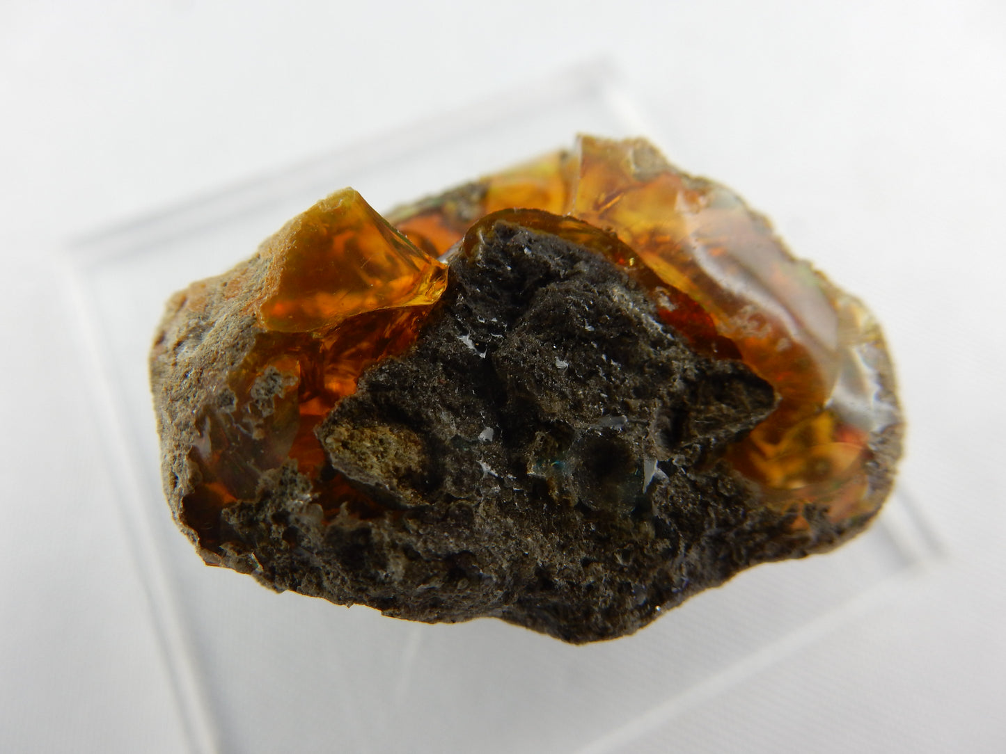 Fire Opal Mexico