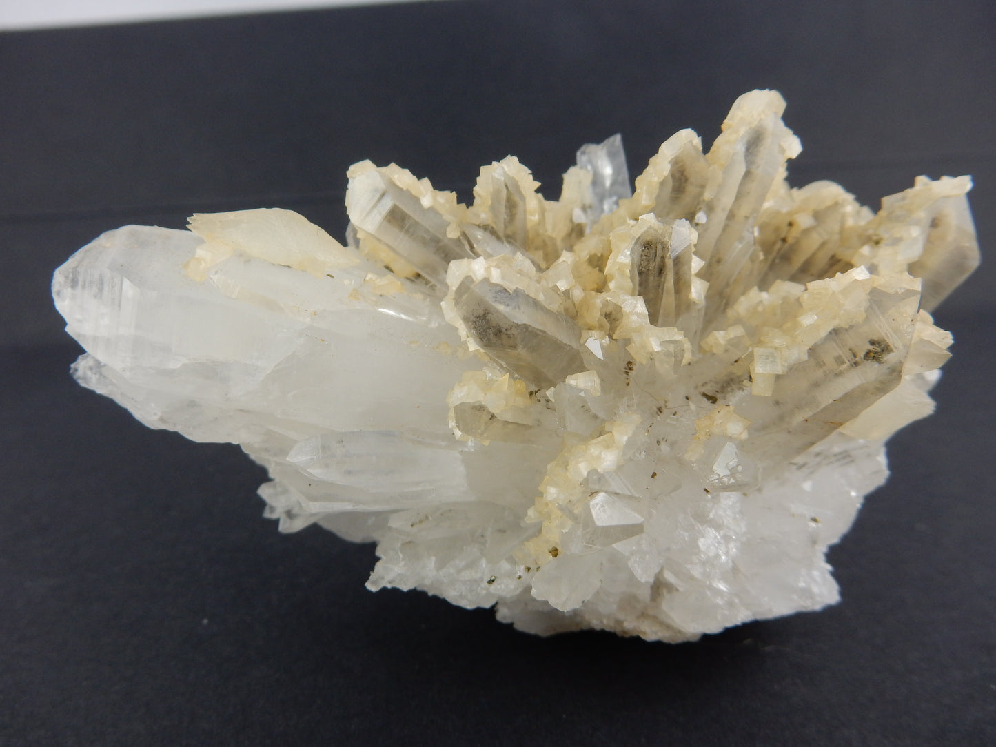 showy radiating cluster of many terminated quartz crystals - "coated" one side with Ankerite - with a few double-term calcites also