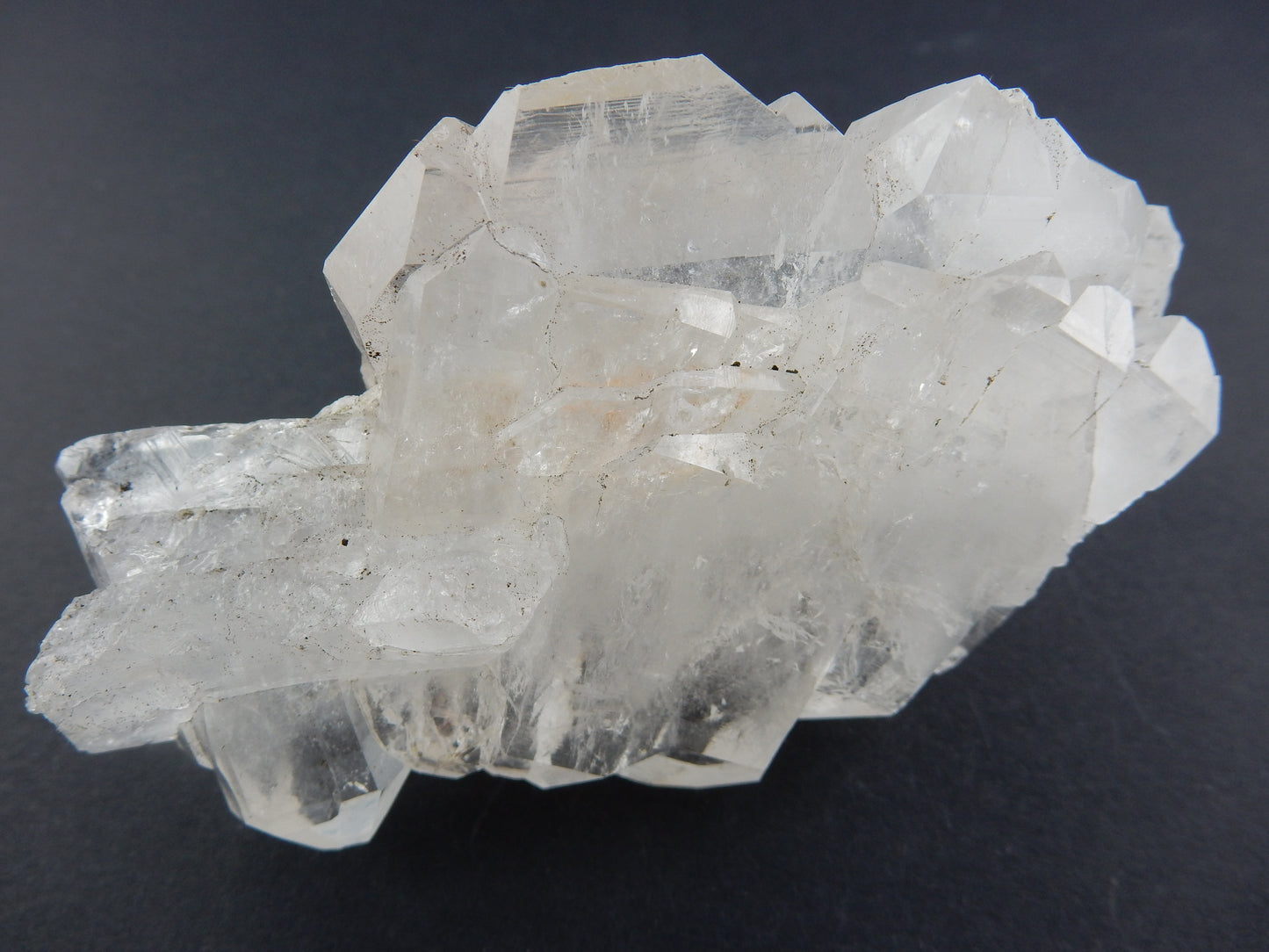 Faden Quartz Big "Twin-Twin"