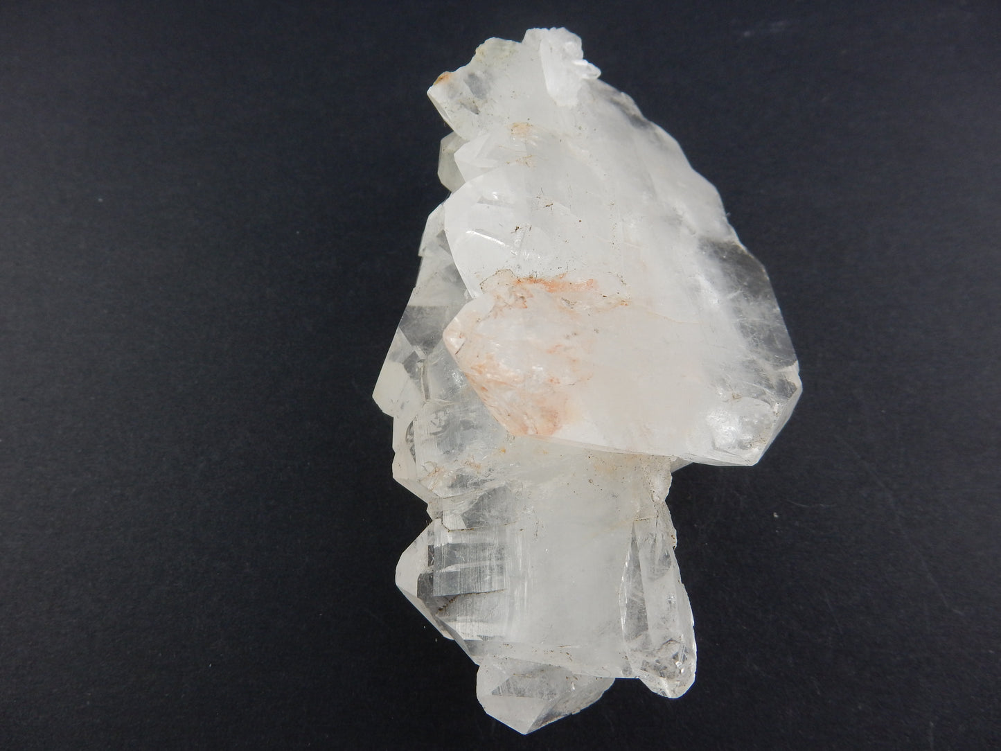 Faden Quartz Big "Twin-Twin"