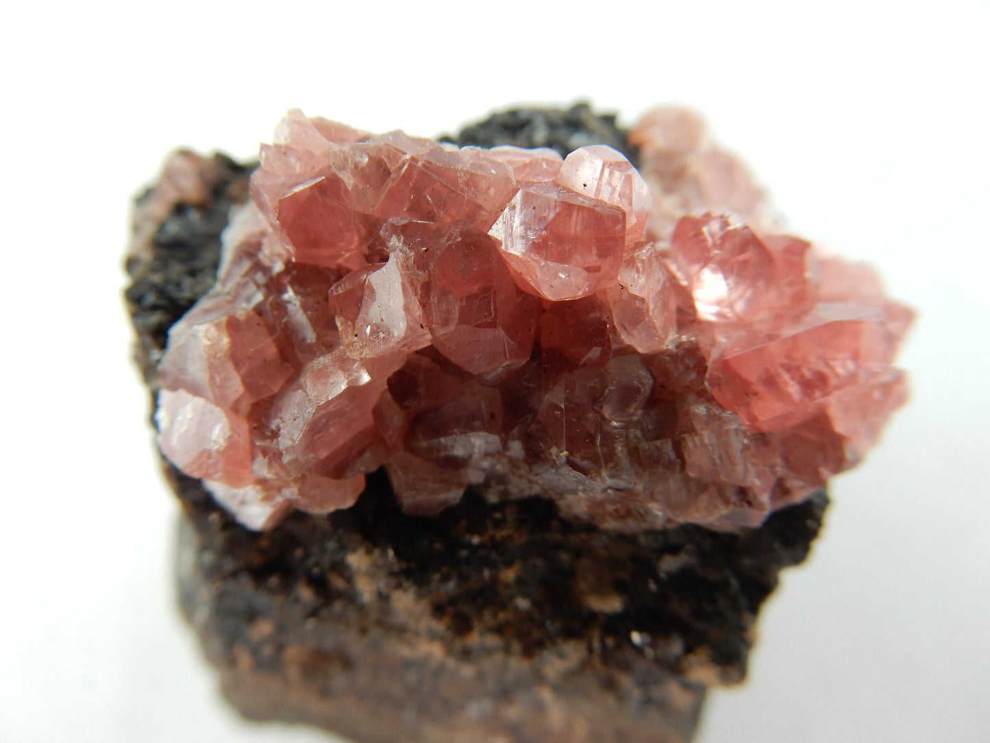Rhodochrosite