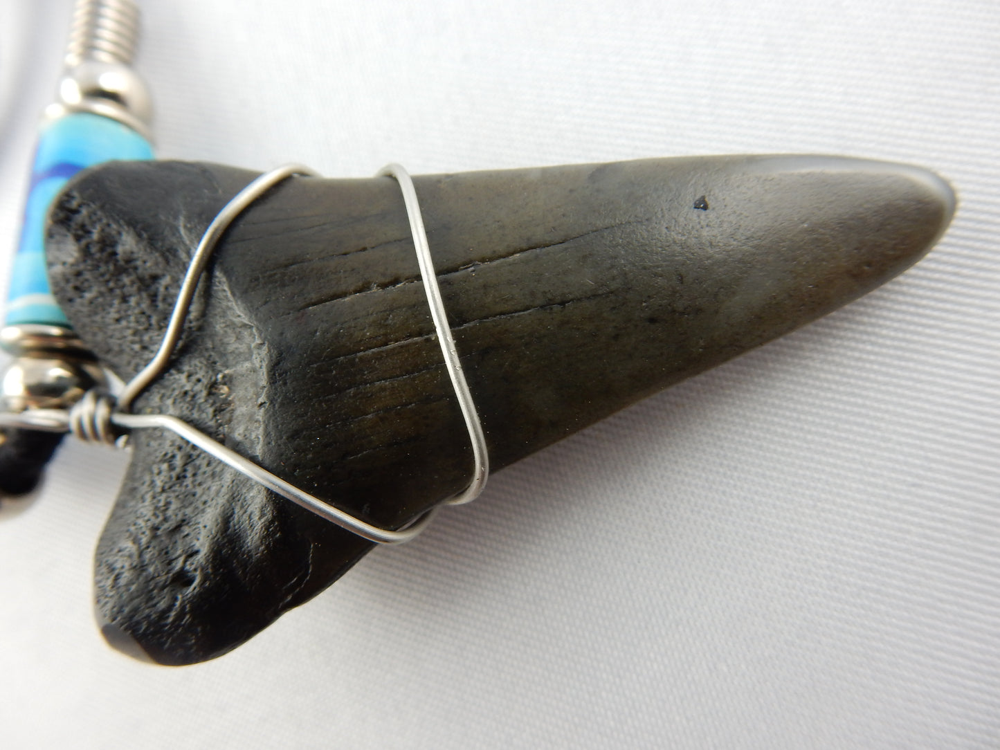 Megladon Shark Tooth Necklace